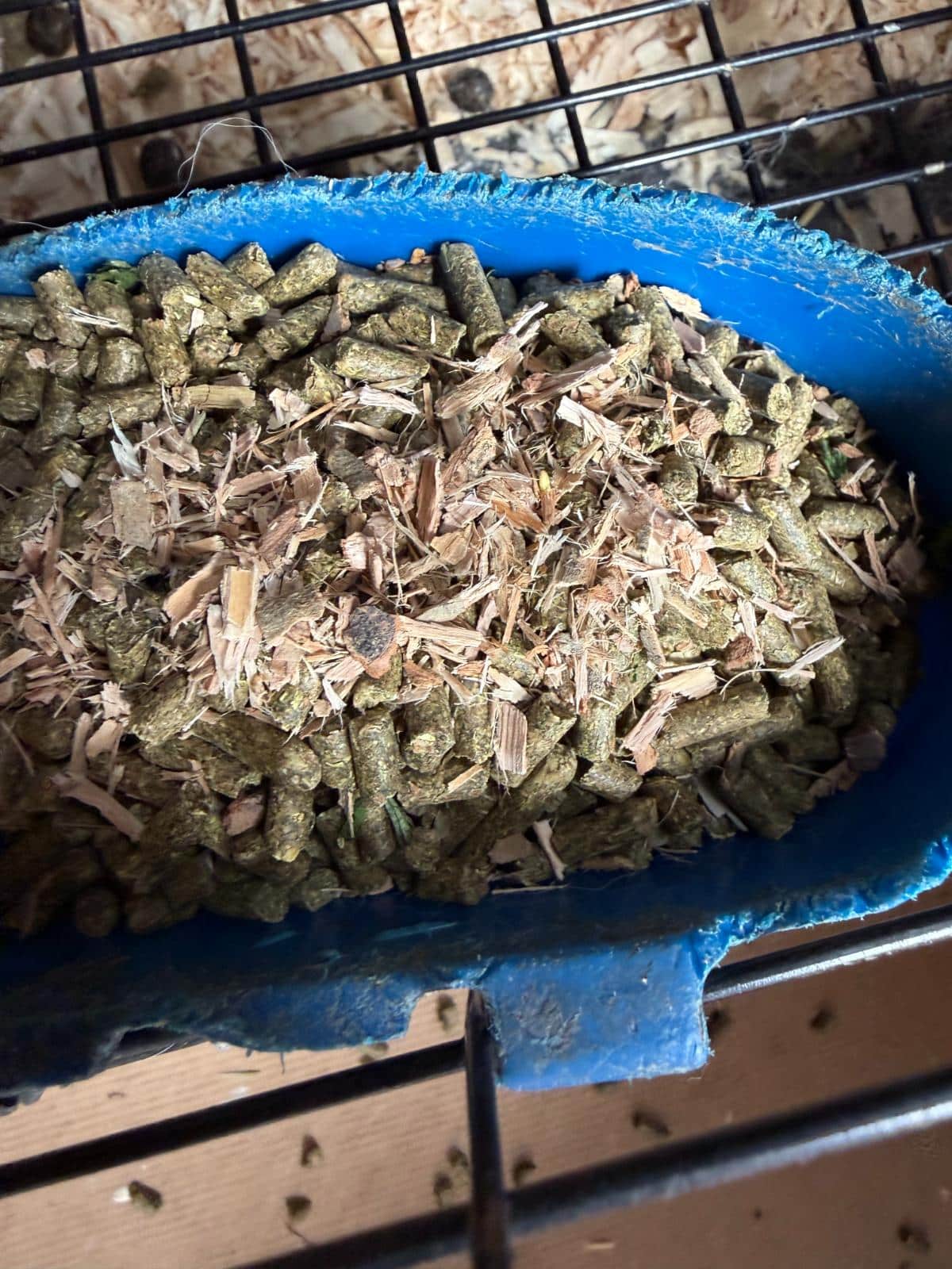 Dried willow over pellets in a feed cup